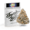 Jungle Boys Gelato Fuel 3.5 g Mylar Bag
