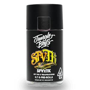 Jungle Boys SFV × TK