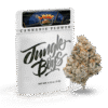 Jungle Boys G‑Ride 3.5 g Mylar Bag