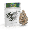 Jungle Boys Zourz 3.5 g Mylar Bag