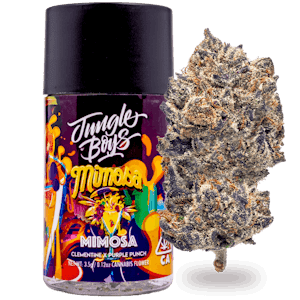 Jungle Boys Mimosa 3.5 g Flower Jar