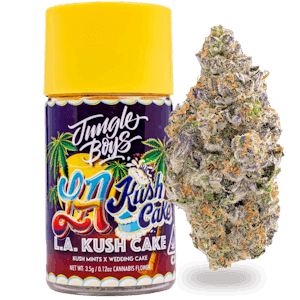 Jungle Boys Sherbanger 3.5 g Flower Mylar Bag
