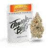 Jungle Boys Sherblato 3.5 g Mylar Bag