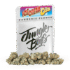 Jungle Boys Ice Cream Cake 10 g Smalls Mylar Bag