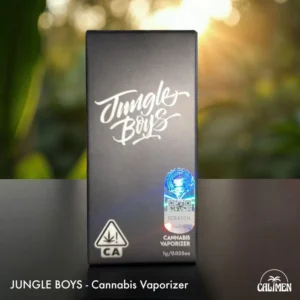 Disposable Vapes