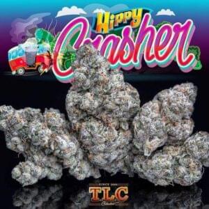 Jungle Boys Hippy Crasher 10‑Pack Pre‑Rolls