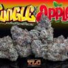 Jungle Boys Apples 10‑Pack Pre‑Rolls