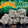 Jungle Boys Mints 10‑Pack Pre‑Rolls